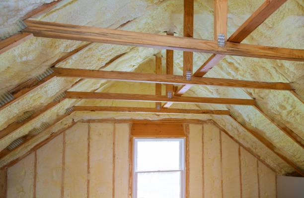 Best Eco-Friendly Insulation in Alliae, NC