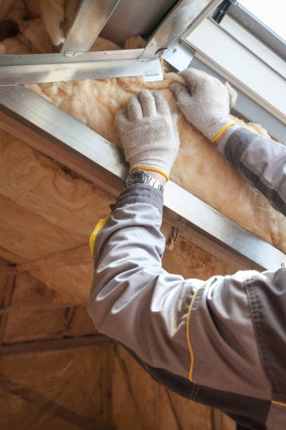 Types of Insulation We Offer in Alliance, NC