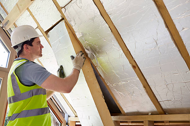 Best DIY Insulation Kits and Guidance in Alliae, NC